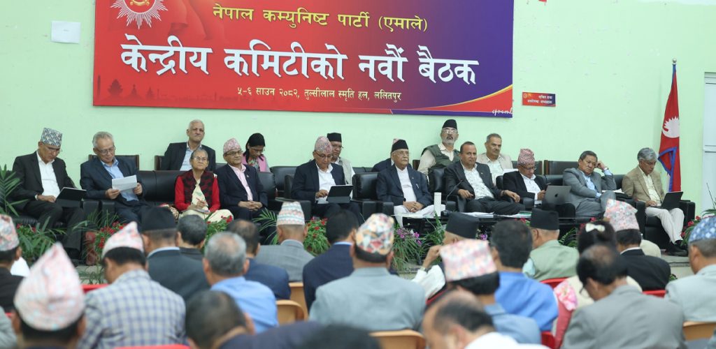 Former President Bhandari should not enter active politics