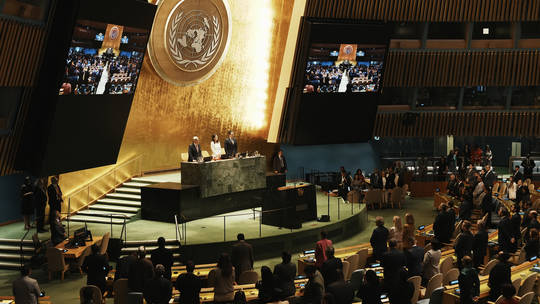 UN General Assembly Backs Two-State Solution for Israel and Palestine